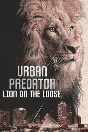 Постер: Urban Predator: Lion on the Loose