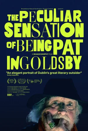 Постер: The Peculiar Sensation of Being Pat Ingoldsby