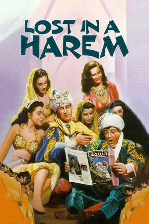 Постер: Потерянные в гареме