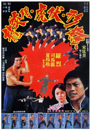 Постер: Secret of Chinese Kung Fu