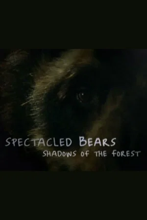 Постер: Spectacled Bears: Shadows of the Forest