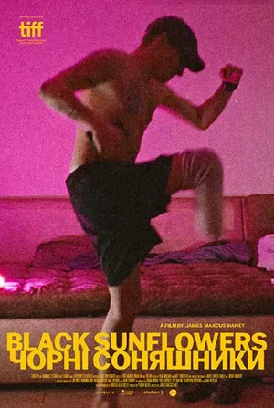 Постер: Black Sunflowers