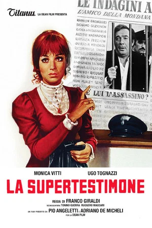 Постер: The Superwitness