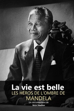 Постер: Life Is Wonderful: Mandela’s Unsung Heroes
