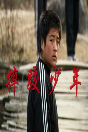 Постер: 摔跤少年