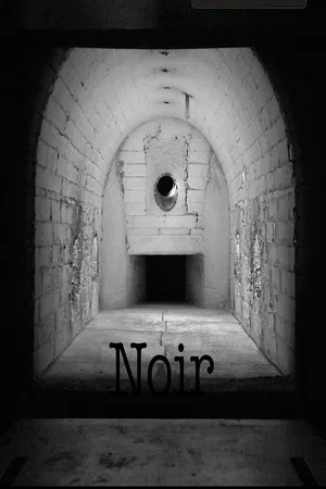 Постер: Noir