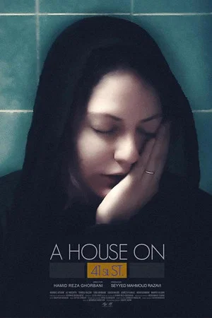 Постер: A House On 41st Street