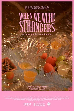 Постер: When We Were Strangers