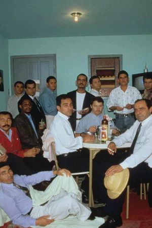 Постер: Os Raimundos, os Severinos e os Franciscos