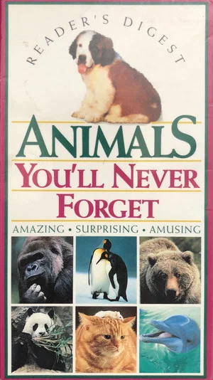 Постер: Animals You'll Never Forget