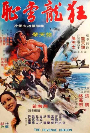 Постер: Dragon Force Operation