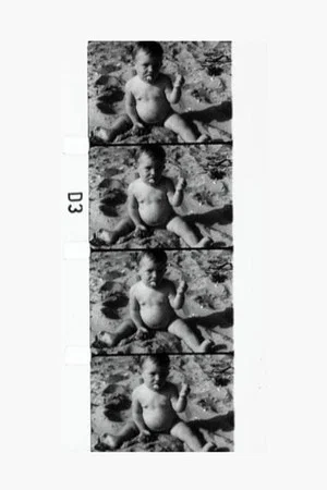 Постер: Fluxfilm No. 21