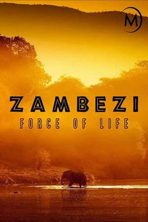 Постер: Zambezi: Force of Life