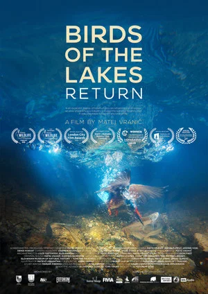 Постер: Birds of the Lakes Return