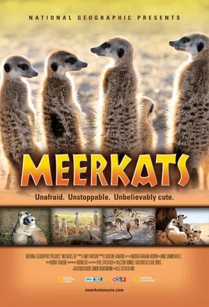 Постер: Meerkats 3D