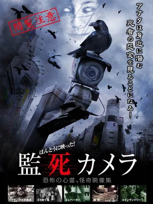 Постер: Paranormal Surveillance Camera