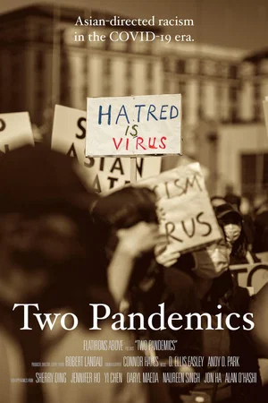 Постер: Two Pandemics