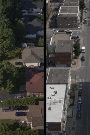 Постер: Neighbors in My Backyard