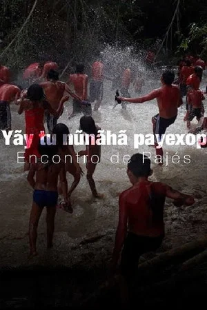 Постер: Yãy tu nũnãhã payexop: Encontro de Pajés