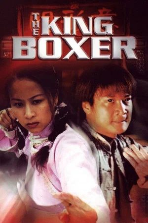 Постер: The King Boxer