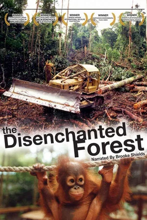 Постер: Disenchanted Forest