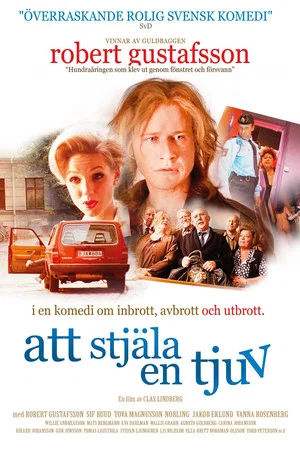 Постер: To Steal a Thief