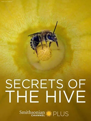 Постер: Secrets of the Hive