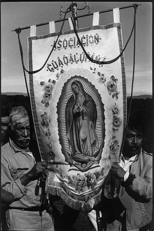 Постер: A Long Journey to Guadalupe