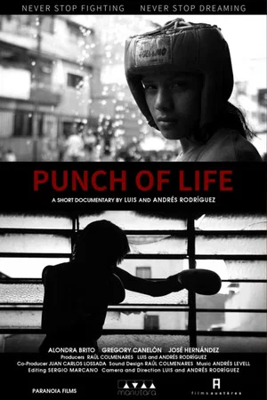 Постер: Punch of Life
