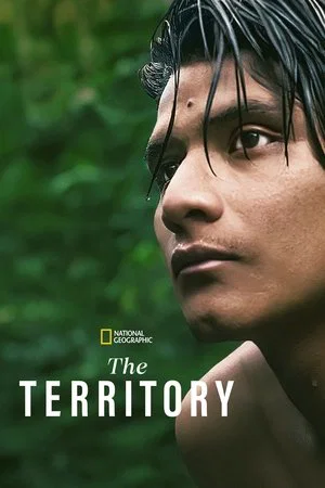 Постер: The Territory