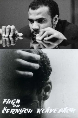 Постер: Fugue on the Black Keys