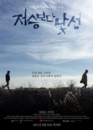 Постер: Stranger than the Beyond