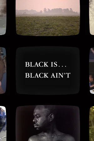 Постер: Black Is… Black Ain’t