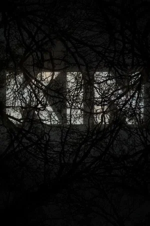 Постер: KIN
