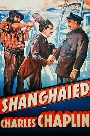 Постер: Завербованный