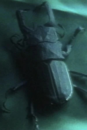 Постер: Entomologist