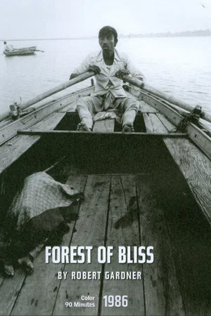 Постер: Forest of Bliss