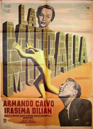 Постер: La muralla
