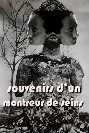 Постер: Memories of a Boobs Flasher