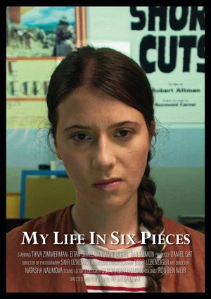 Постер: My Life in Six Pieces