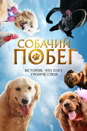 Постер: Собачий побег