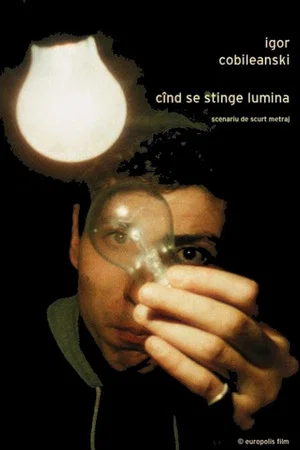 Постер: When the Lights Go Out