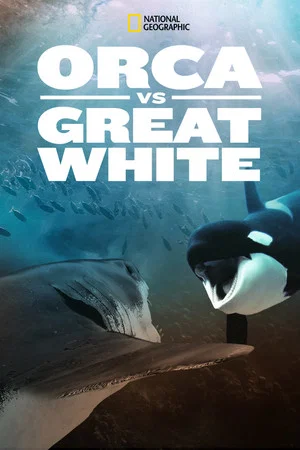 Постер: Orca Vs. Great White