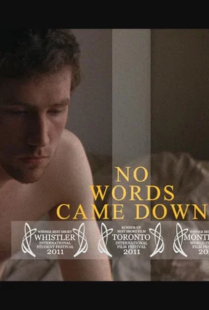 Постер: No Words Came Down