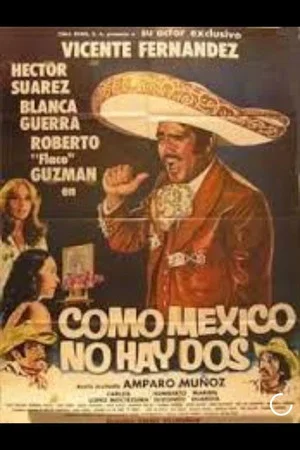 Постер: Como México no hay dos