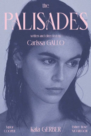 Постер: The Palisades