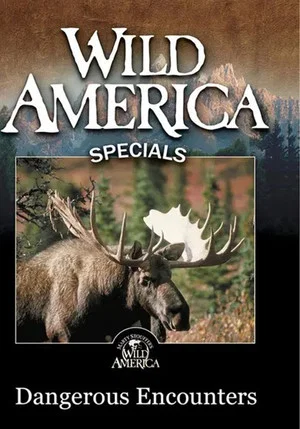 Постер: Wild America - Dangerous Encounters