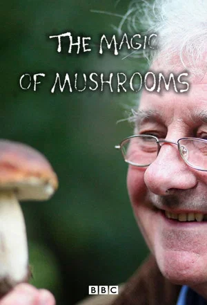 Постер: The Magic of Mushrooms