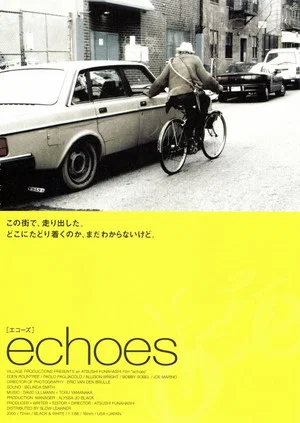 Постер: Echoes