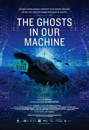 Постер: The Ghosts in Our Machine